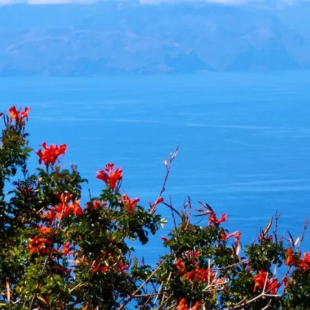 Апартаменты Con Increibles Vistas Al Oceano Y La Gomera