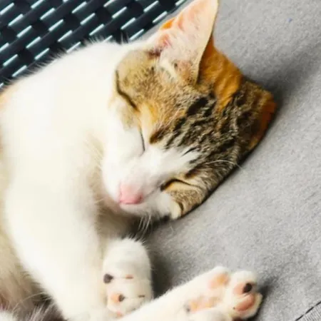 Con Increíbles Vistas Al Océano Y La Gomera *