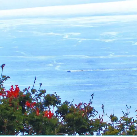 Con Increíbles Vistas Al Océano Y La Gomera Chio (Tenerife)