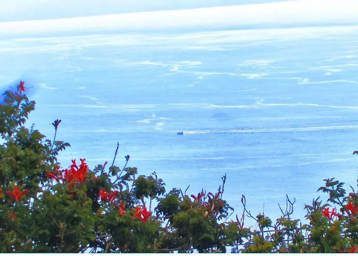Con Increibles Vistas Al Oceano Y La Gomera Chío